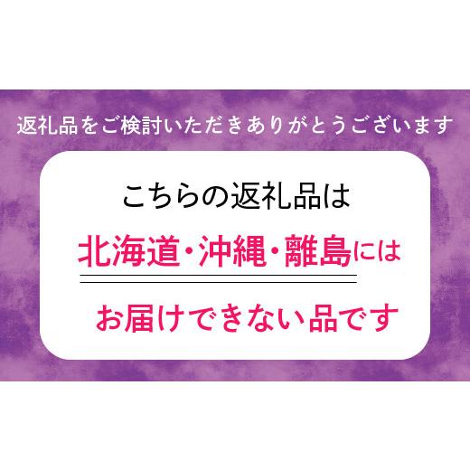 ふるさと納税 山梨県 笛吹市 ＜2024年先行予約＞シャインマスカット1.1kg（2~3房） 122-013 ※北海道・沖縄・離島は配送不可