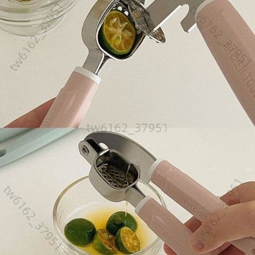 【臺灣有貨 免運】高顏值ins壓蒜泥夾蒜泥器手動搗蒜器家用大蒜不鏽鋼壓蒜榨汁專用
