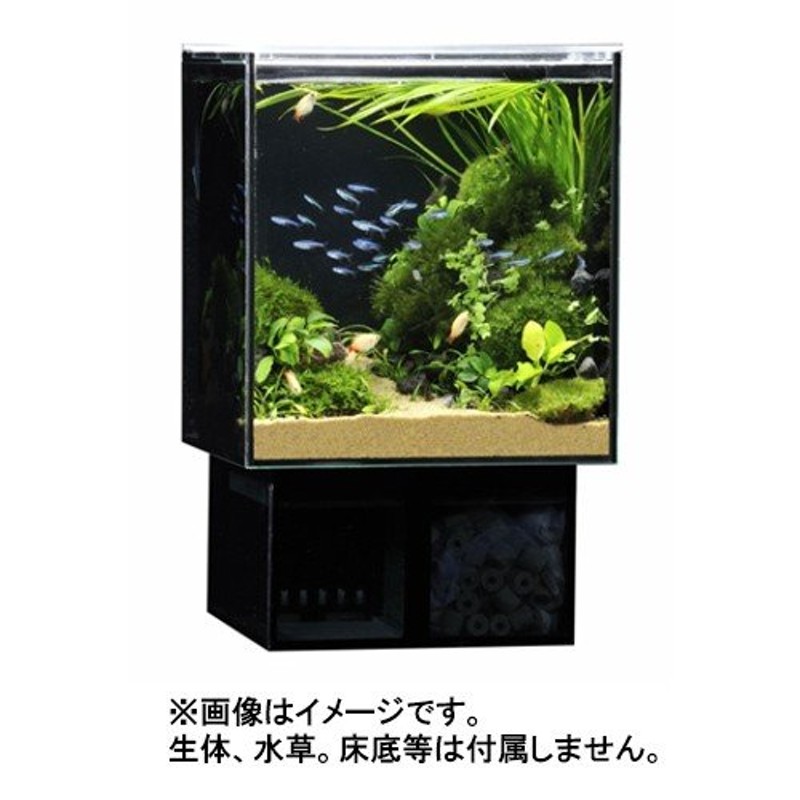 GEX グラステリア アグス ブラック OF-230 オールガラス オーバーフロー水槽 LEDライト付 淡水・海水両用 GlassteriorAGS  OF230 通販 LINEポイント最大0.5%GET | LINEショッピング