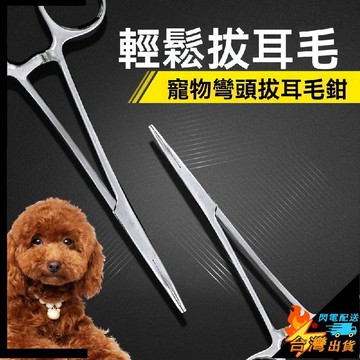 【台灣出貨】寵物清潔工具 狗狗 貓咪拔耳毛鉗 寵物貓耳朵拔毛鉗 掏耳神器 止血鉗 掏耳朵清潔工具