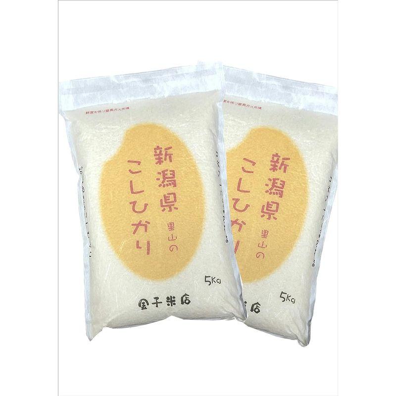 令和3年産 新潟県産 里山のコシヒカリ10kg（5kg×2）窒素ガス充填パック包装