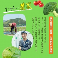 ＜３６９商店＞京都丹波産旬の野菜セット　※全て栽培期間中農薬・化学肥料不使用※