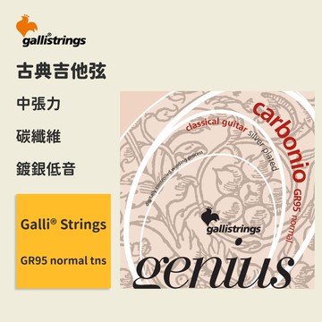 【GalliStrings】官方正版 古典吉他弦 義大利 GR95 normal 高張力 木吉他弦 琴弦 GR-95
