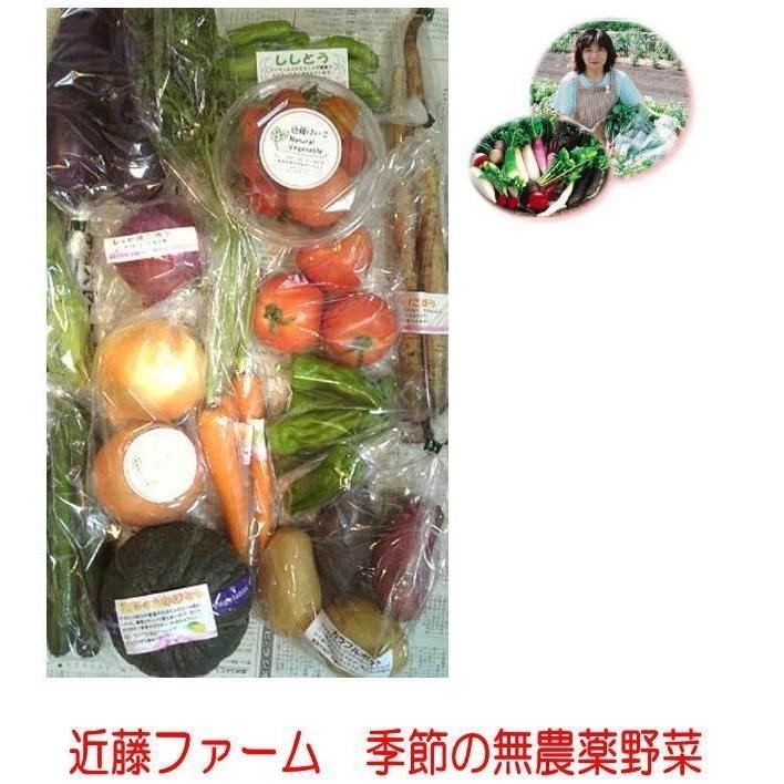 奇数月　8〜10品「無農薬野菜セット」近藤ファーム