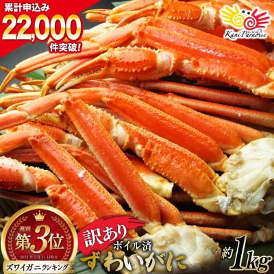 ふるさと納税 気仙沼市 カニ 訳あり ボイルずわいがに 肩付き脚 総重量1kg   カニパラダイス [20562923]