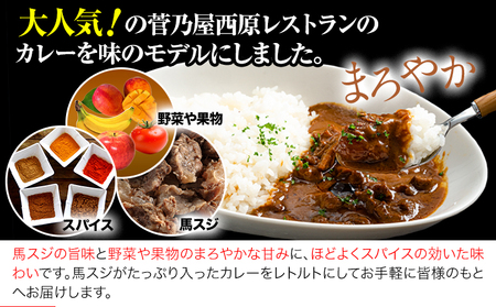 たっぷり！馬スジカレー 10食セット《60日以内に順次出荷(土日祝除く)》馬スジ カレー お肉 馬すじ カレーライス 馬肉 贈答 ギフト グルメ お取り寄せ 熊本県 南阿蘇村 送料無料 個包装 大人気 簡単調理 千興ファーム