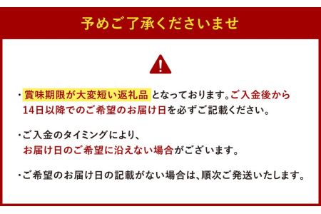 本場関門とらふぐ刺身・ふぐ鍋セット(2～3人前)ふく一 ※備考欄に指定日をご入力ください