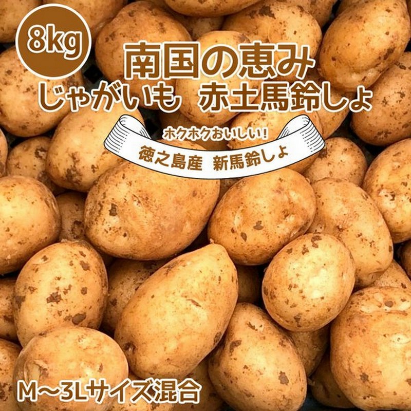 予約2023年】新じゃがいも 送料無料 8kg M~3Lサイズ混合 赤土 九州鹿児島徳之島産 にしゆたか 贈物 長期保存 箱買い 南国野菜 産地直送 馬鈴薯 ばれいしょ 通販 LINEポイント最大GET | LINEショッピング 予約2023年】新じゃがいも 送料無料 8kg M~3Lサイズ混合 赤土 九州鹿児島徳之島産 にしゆたか 贈物 長期保存 箱買い 南国野菜 産地直送 馬鈴薯 ばれいしょ 通販 LINEポイント最大GET | LINEショッピング
