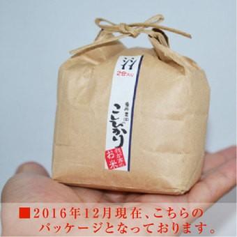 新米 令和 米 縁起米 コシヒカリ 白米 2合（約300g）