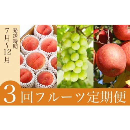 ふるさと納税 長野県 小布施町 ［3回定期便］ 小布施のフルーツ3回コース ［小布施屋］定期便 先行予約 フルーツ 数量限定 白桃 シャインマスカット ぶどう り…