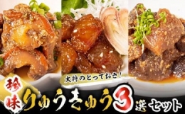 大将のとっておき！「珍味りゅうきゅう3選セット」