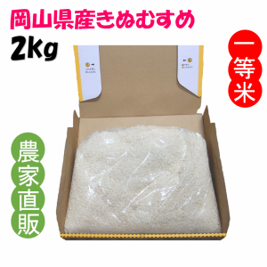 精米 きぬむすめ 令和5年産 農家直詰 お米 (2kg)