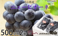 ニューピオーネ 約500g×2房 岡山県産 葡萄 ぶどう 果物 フルーツ 2023年 先行予約