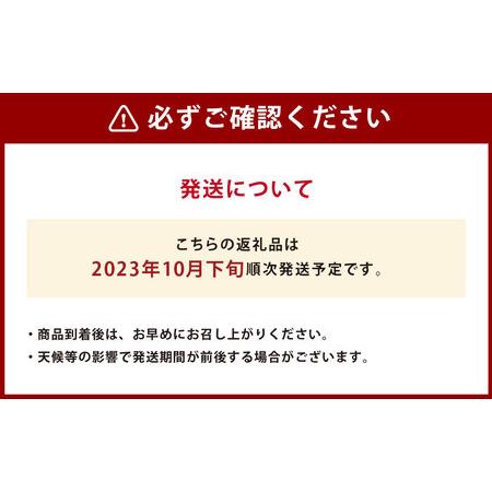 ふるさと納税  みかん 10kg (サイズ2L〜2S) 蜜柑 熊本県熊本市