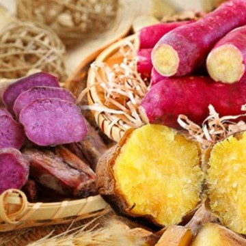 【綠之醇】輕食三色地瓜(熟)3包組(700g/800g)