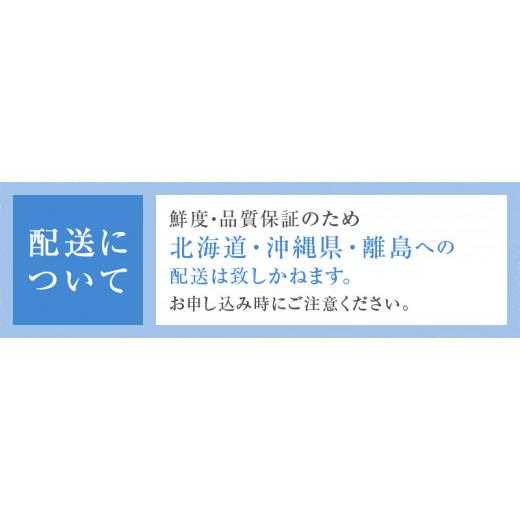 ふるさと納税 山梨県 甲州市 JAフルーツ山梨もも6〜8玉B-101