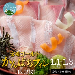 宮崎産 新海屋 鰤屋金太郎 宮崎ゴールドカンパチ フィレ 1.1kg～1.3kg 1匹 ２枚　冷蔵　C315_1