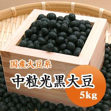 豆 大豆 黒豆 中粒黒豆 北海道産 送料無料 令和４年産 5kg 業務用