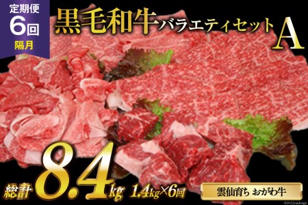 定期便 6回 牛肉 雲仙育ち おがわ牛 バラエティーセットA 総計8.4kg(1.4kg×6回) 黒毛和牛 上ロース薄切り肉 モモ薄切り肉 切落とし カレー肉 冷凍   焼肉おがわ   長崎県 雲仙市