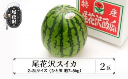 先行予約 尾花沢スイカ 2〜3Lサイズ(約7〜8kg)×2玉 7月下旬～8月中旬頃発送 令和6年産 2024年産 農産センター すいか 西瓜 ※沖縄・離島への配送不可 ns-su23x2