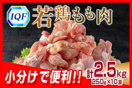 小分けで便利 カット済 若鶏 もも肉 計2.5kg 250g×10袋 肉 鶏 鶏肉 国産 おかず 食品 お肉 チキン 送料無料_B219-23