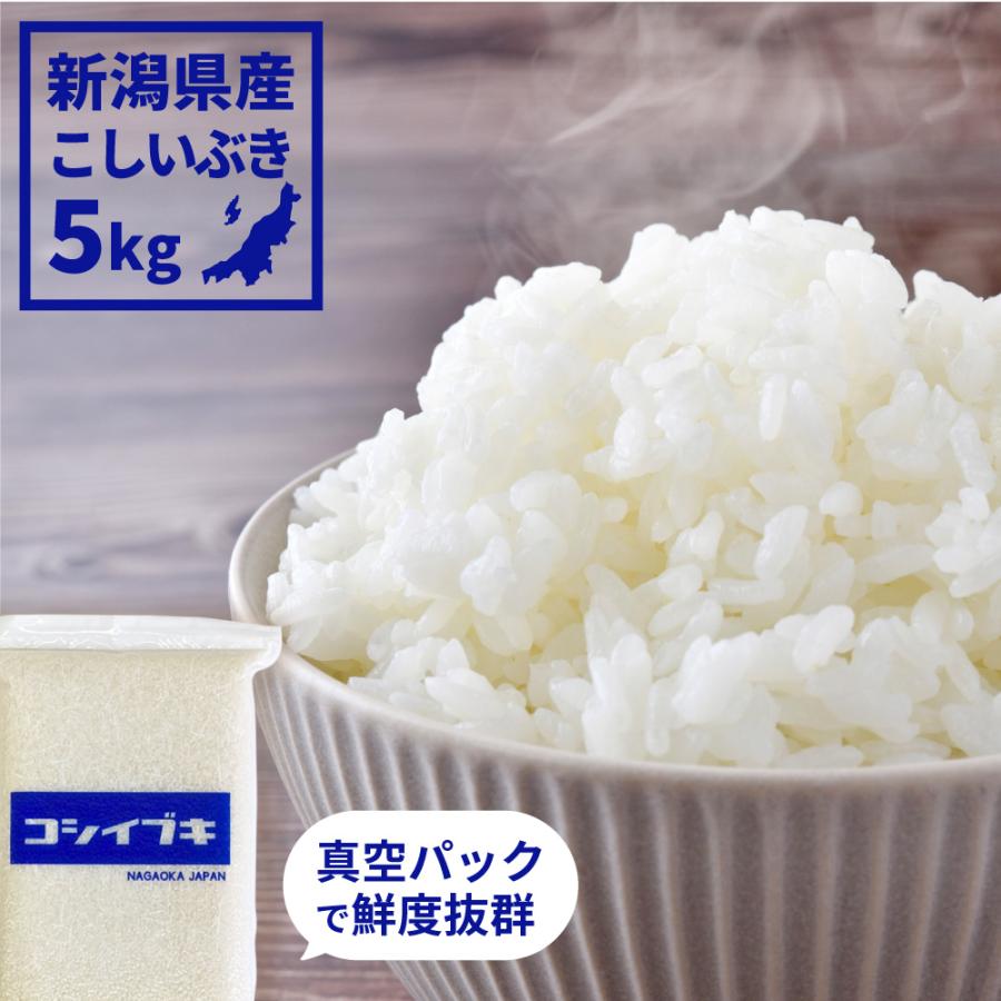 お米 ごはん白米 5kg 5キロ 新潟県産 こしいぶき コシイブキ 令和5年産