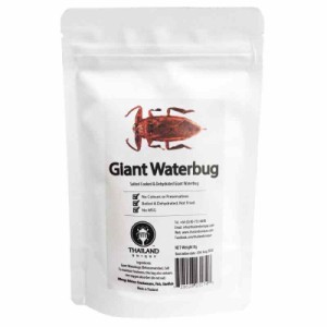 [昆虫食] タガメ Giant Waterbugs 8g TIU0012