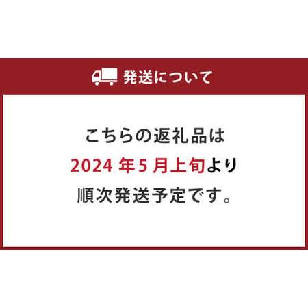 ふるさと納税  肥後グリーン メロン 2玉入 3L以上 (1玉あたり1.6kg以上)  熊本県熊本市