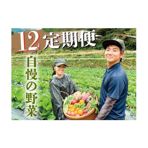 ふるさと納税 高知県 香美市 新鮮野菜BOX定期便(12カ月便）8〜12種