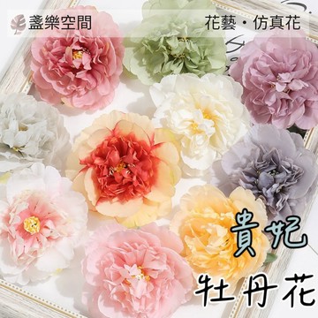 牡丹花 貴妃牡丹 花頭 仿真花 人造花 北歐風 裝飾 假花裝飾 背景 拍照背景