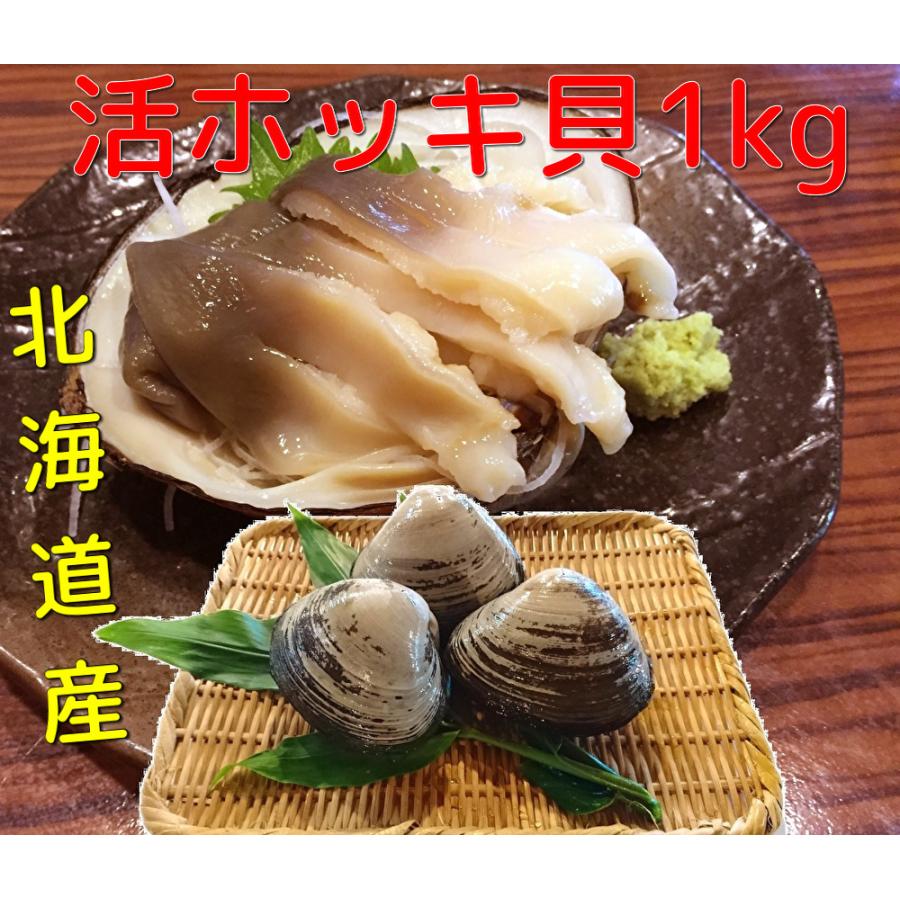 活ほっき貝 北寄貝 1kg 北海道産