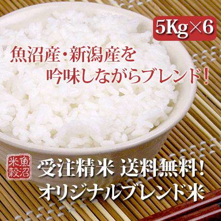 米 お米 白米 精米 安いお米 30kg 5kg×6 新潟産 魚沼産 国内産 ブレンド米  送料無料（北海道・九州・沖縄は除く）離島は発送不可