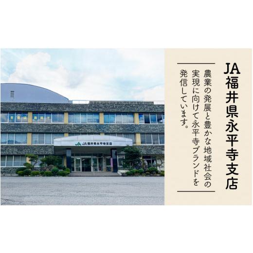 ふるさと納税 福井県 永平寺町 令和5年産 新米 農薬不使用・化学肥料不使用 永平寺町産 れんげ米 10kg×3ヶ月（計30kg） [G-002017]