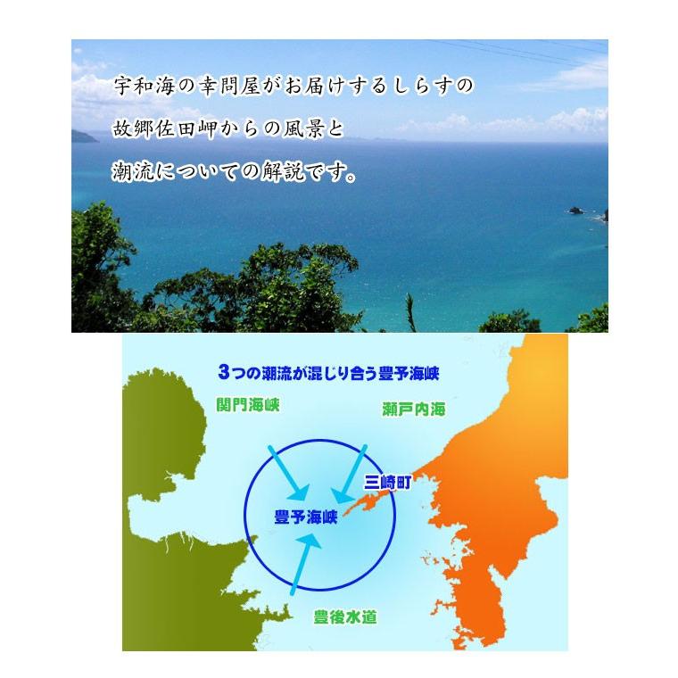 釜揚げしらす 500g （250g×2p）愛媛 佐田岬産 冷蔵便 浜から直送 無添加・無着色 送料無料 北海道・沖縄・東北は別途送料 宇和海の幸問屋