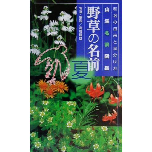 野草の名前(夏) 和名の由来と見分け方 山溪名前図鑑／高橋勝雄