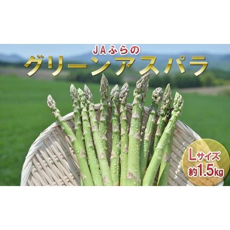 ふるさと納税 北海道 富良野市産 グリーン アスパラ Lサイズ 約1.5kg 秀品 150g×10束 (JAふらの) 北海道富良野市