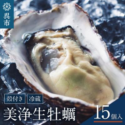 ふるさと納税 呉市 中野水産 美浄生牡蠣(殻付)15個 牡蠣ナイフ付