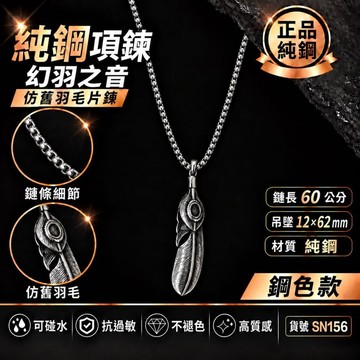男生項鍊 項鍊男 禮物 可碰水 質感 男 不褪色 鈦鋼 純鋼 現貨 幻羽之首 抗氧化 仿舊 飾品 羽毛 SN156