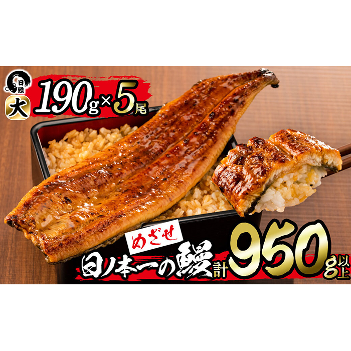 日ノ本一の鰻の蒲焼き＜大＞5尾セット(計950g以上) d2-004