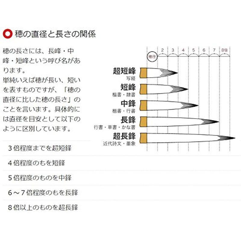 広島筆 筆 デザイン筆 円山 D-31 小