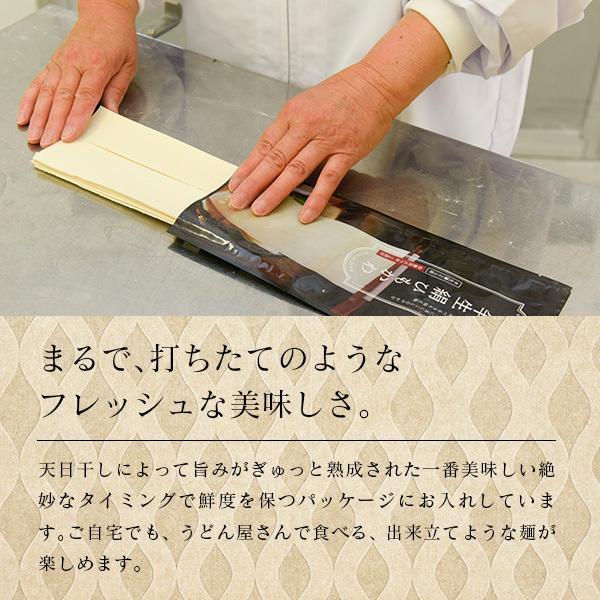 ひもかわ うどん 濃厚冷汁つゆ付 200g ※特製肉汁つゆも付いています。