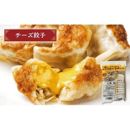 ふるさと納税 宝永オリジナル＆チーズ餃子セット 北海道苫小牧市