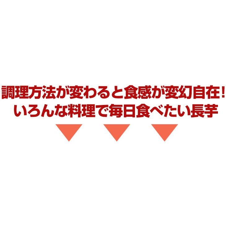 長いも 2.5kg 土付き長いも 青森産 500g×5袋 規格外 切れ子 送料無料 食品