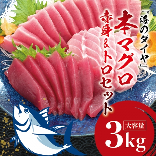 本マグロ（養殖）トロ＆赤身セット 3kg  高級 クロマグロ 中トロ 中とろ まぐろ マグロ 鮪 刺身 赤身 柵 じゃばらまぐろ 本マグロ 本鮪