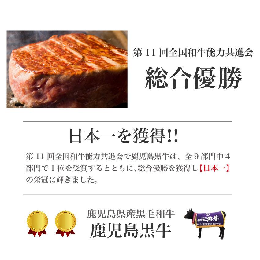 牛肉 焼肉 ステーキ 黒豚 鹿児島 黒牛 熟成肉 と 六白黒豚 の食べ比べセット 熟成モモステーキ 加熱用 100g 8枚 六白黒豚バラ 焼肉用 500g  kagoshimabeef