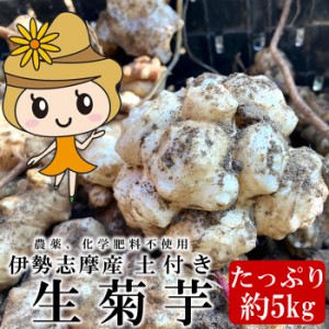 生菊芋 新物菊芋 土付き 5kg 生菊芋 イヌリン なまの菊芋 三重県伊勢志摩産 化学肥料不使用 農薬不使用 血糖値抑制 低カロリー 美容 健康