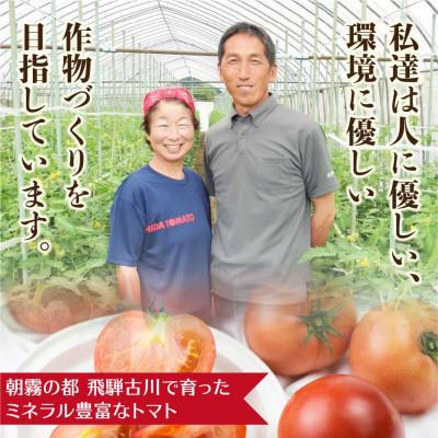 ふるさと納税 飛騨市 佐藤さんちの美味しい飛騨トマト　約2Kg