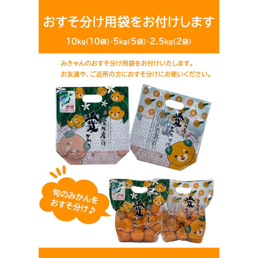 お歳暮 みかん 極旨小玉みかん 5kg×2箱 赤秀 S〜3Sサイズ JAえひめ中央 中島産 ミカン 蜜柑 ギフト