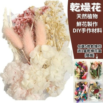 【A-ONE】DIY乾燥永生花 粉黛少女 情人節禮物 乾燥玫瑰 短枝花材 浮游花 乾燥花 不凋花花藝 A02