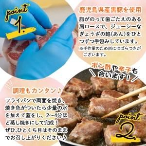 ふるさと納税 お肉屋さんの黒豚肉巻餃子 計30個(10個入×3袋) a1-009 鹿児島県志布志市